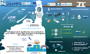 Des infographies pour les ports de QUAMPO! 1