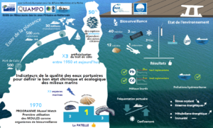 Des infographies pour les ports de QUAMPO! 2